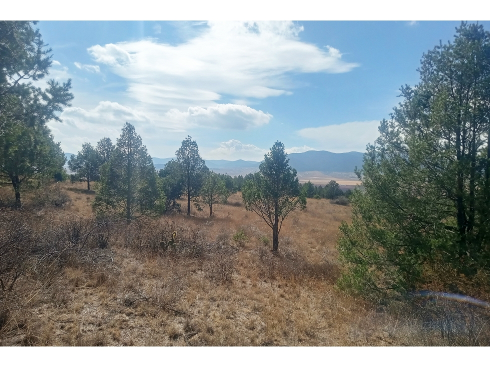 Terreno Campestre en VENTA en Ejido San Juanito RTV663162