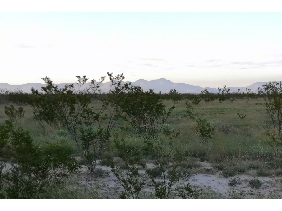 Terreno en Zona Industrial Derramadero en Venta ITV451092
