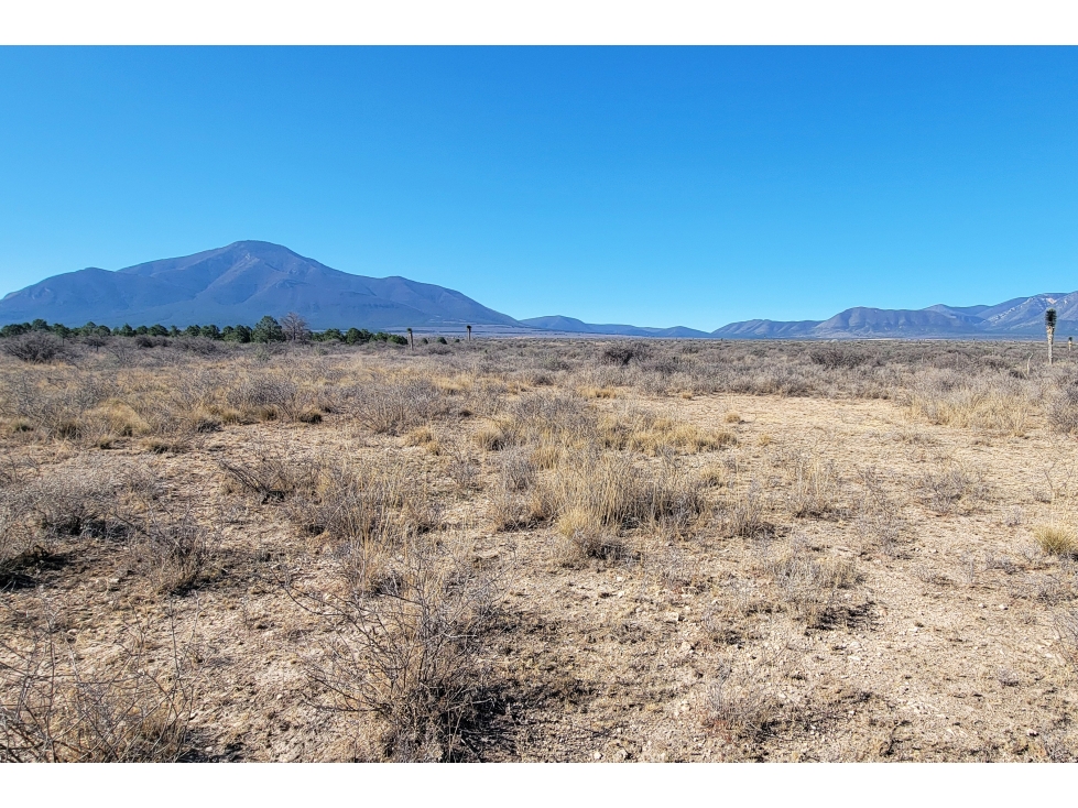 Terreno VENTA Industrial-Campestre, San Juan de la Vaquería EB-VR3422