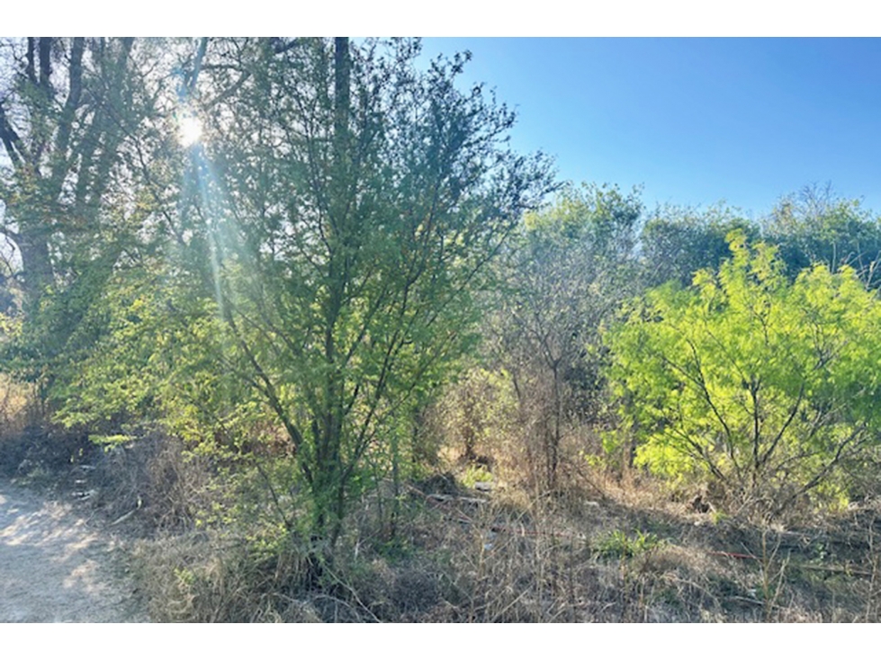 Terreno en VENTA en Carretera Antigua los Zertuche RTV673927