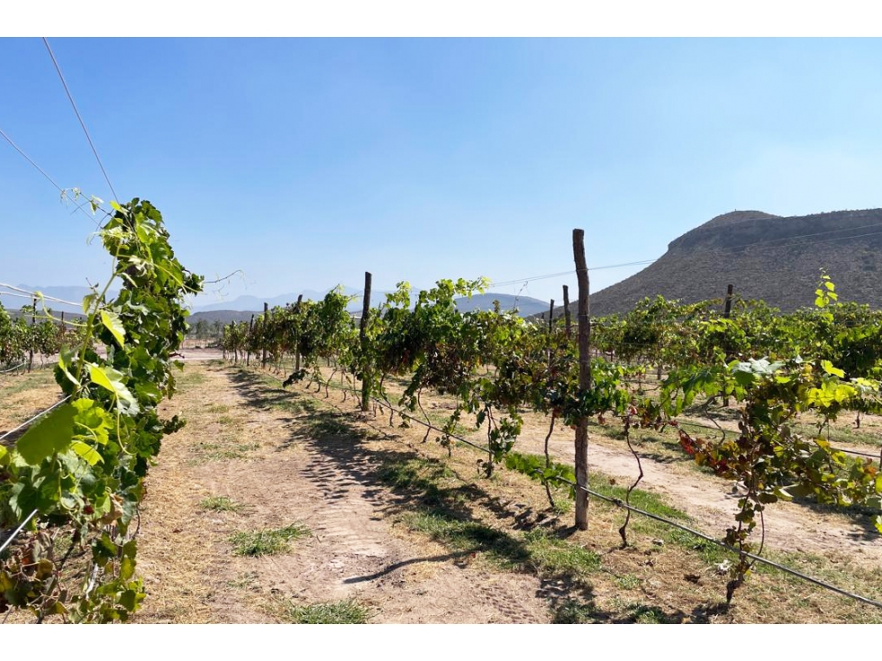Venta de terrenos campestres en Sierto RTV599998 - 5