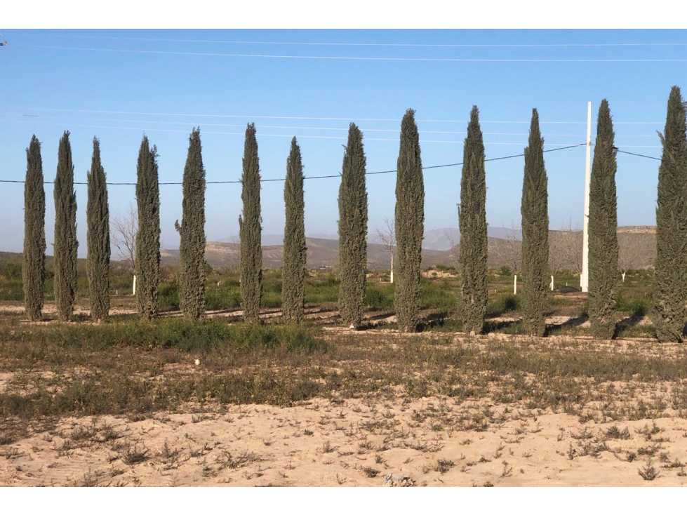 Venta de terrenos campestres en Sierto RTV599998 - 3
