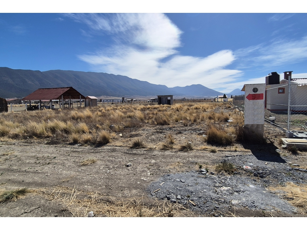 Terreno en VENTA en San Antonio de las Alazanas RTV639149 - 2