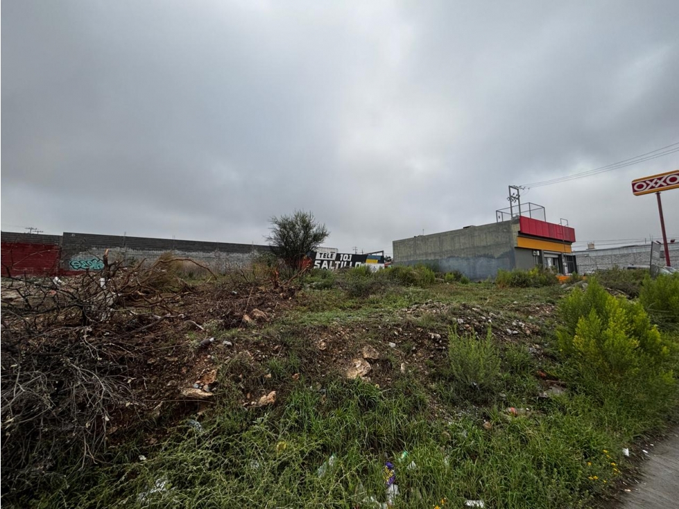 Terreno en Renta sobre Otilio Glz CTR648636 — foto 3