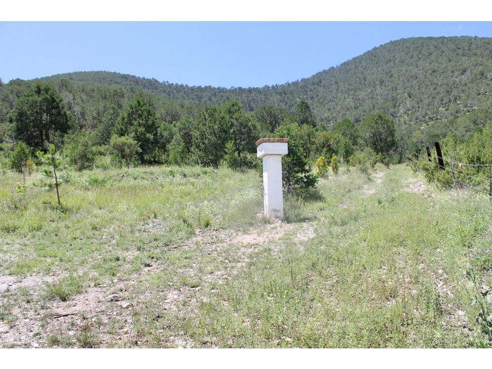 Terreno VENTA en Campestre Los Andes RTV653179 — foto 2