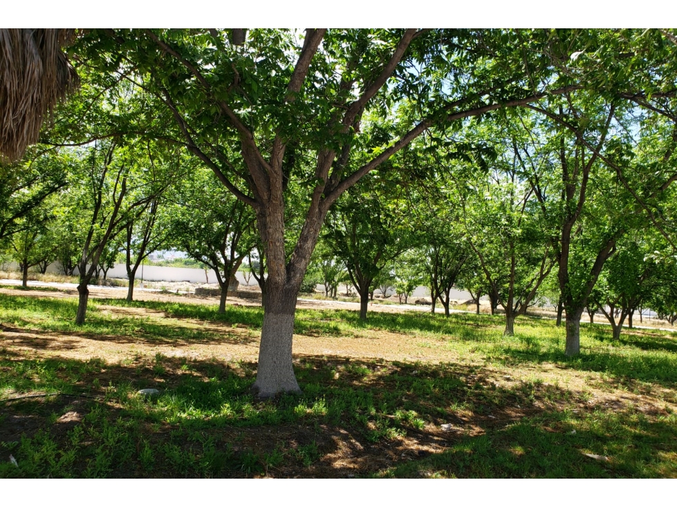 Terreno en VENTA en Residencial La Joya II RTV656640 — foto 2