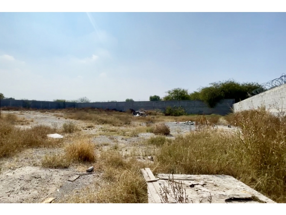 Terreno en RENTA en La Palmilla CTR662133 — foto 2