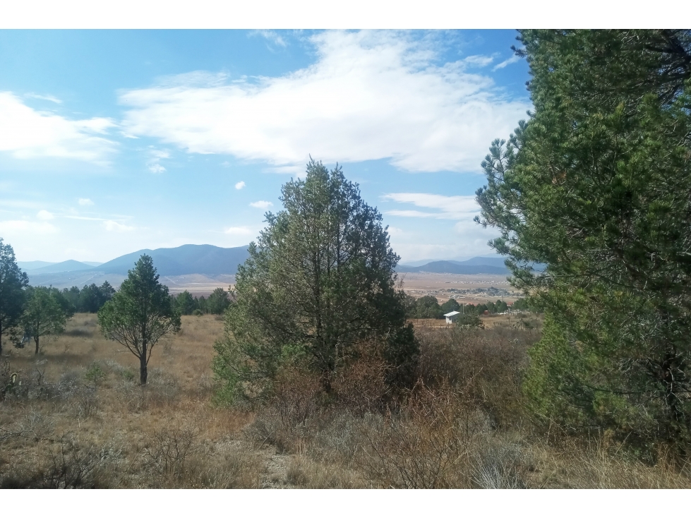Terreno Campestre en VENTA en Ejido San Juanito RTV663162 — foto 2