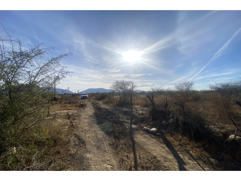 Terreno en VENTA en General Cepeda RTV666736 - 2