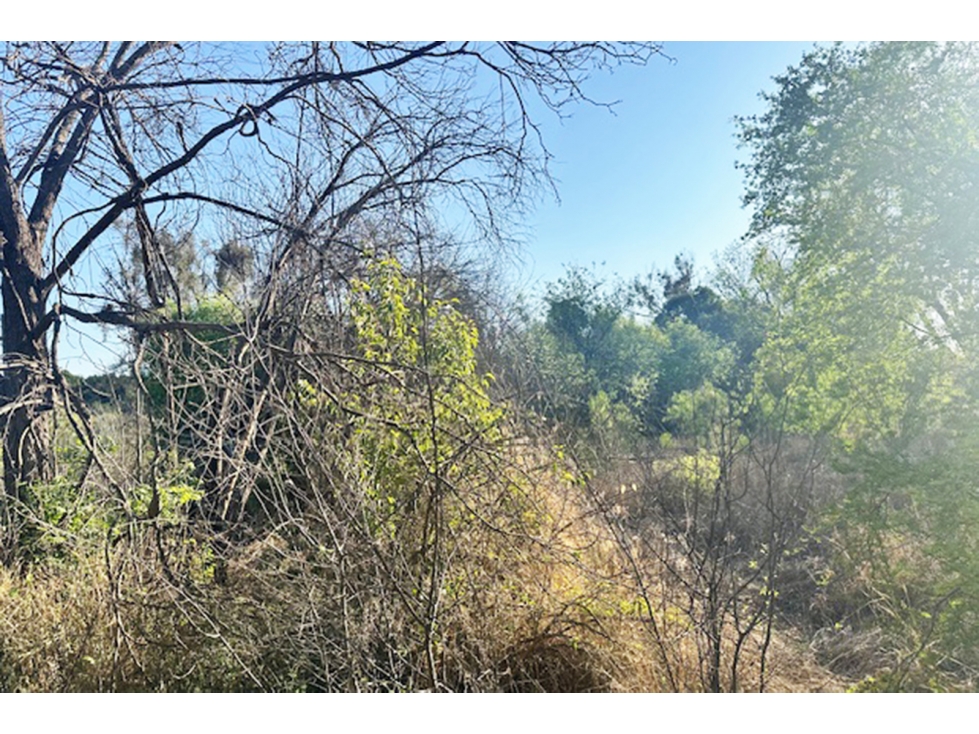 Terreno en VENTA en Carretera Antigua los Zertuche RTV673927 — foto 2