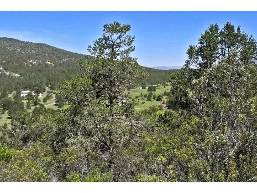 Terreno en VENTA en Sierra de Arteaga RTV677788 — foto 2
