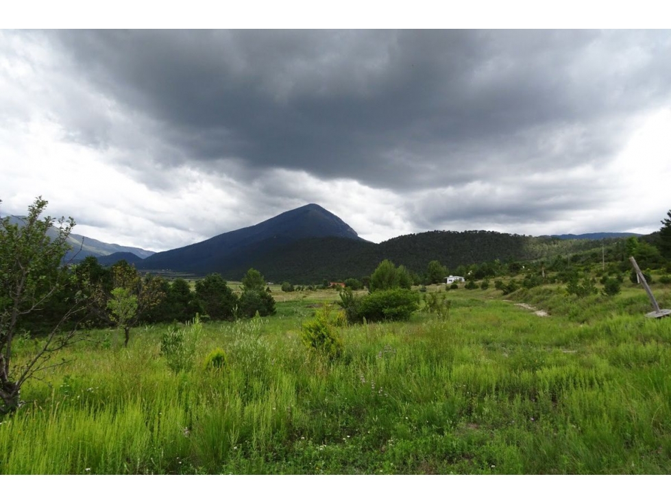Terreno campestre en VENTA en Fracc. Los Andes-RTV535845 - 3
