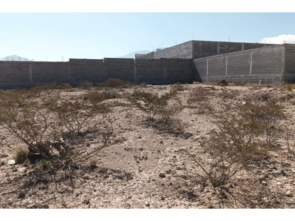 Terreno en RENTA en col. Europa CTR576732 - 3