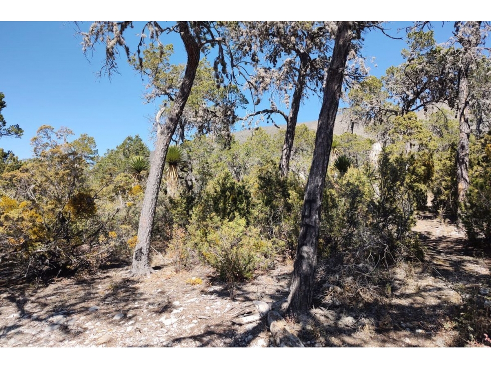 Terreno Campestre en VENTA en San Antonio de las Alazanas RTV562677 - 3