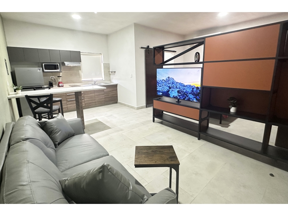 Loft nuevo en RENTA en Hacienda de Peña RDR602930 — foto 3