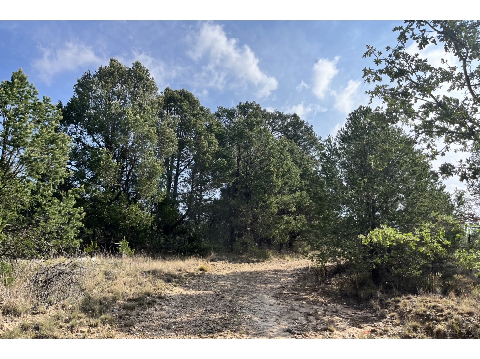Terreno VENTA en Fracc. Cumbres del Tunal RTV607701 — foto 3