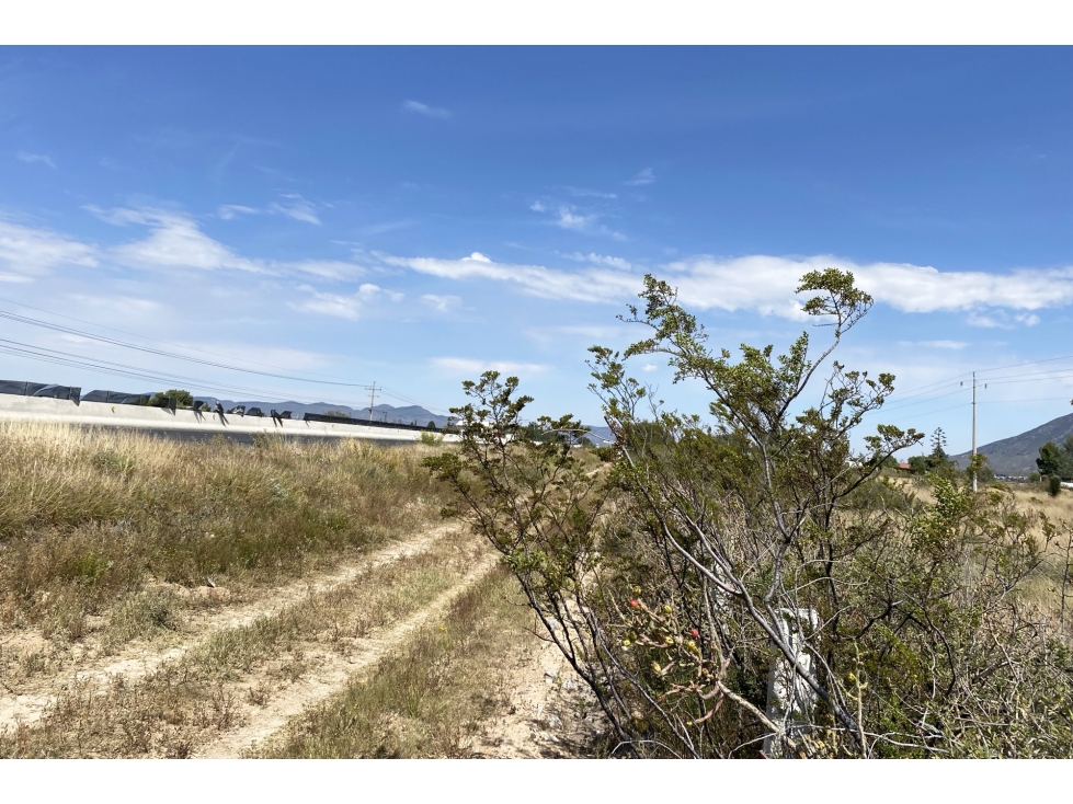 Terreno RENTA en Derramadero ITR622742 - 3