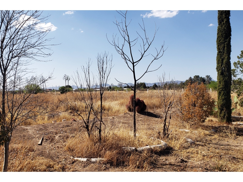 Terreno en VENTA a unos metros de la Carretera Zacatecas ITV638432 — foto 3