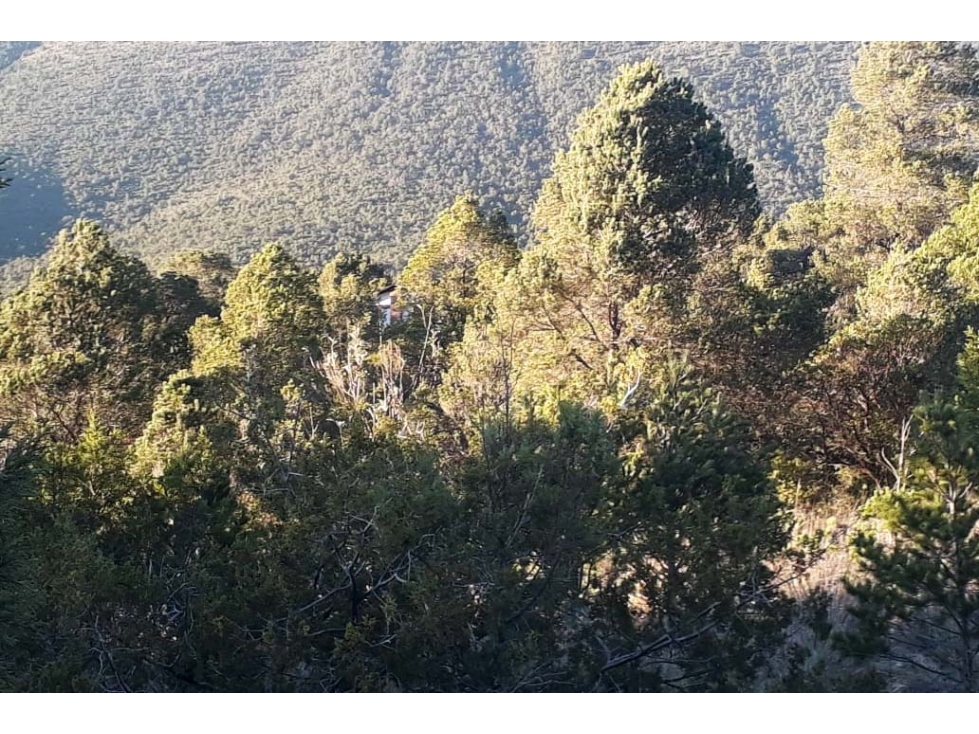 Terreno campestre en VENTA sobre la carretera a Los Lirios RTV480524 - 3