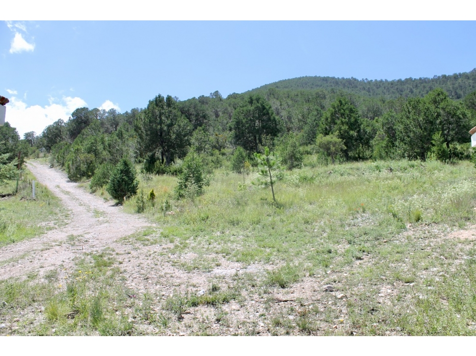 Terreno VENTA en Campestre Los Andes RTV653179 — foto 3