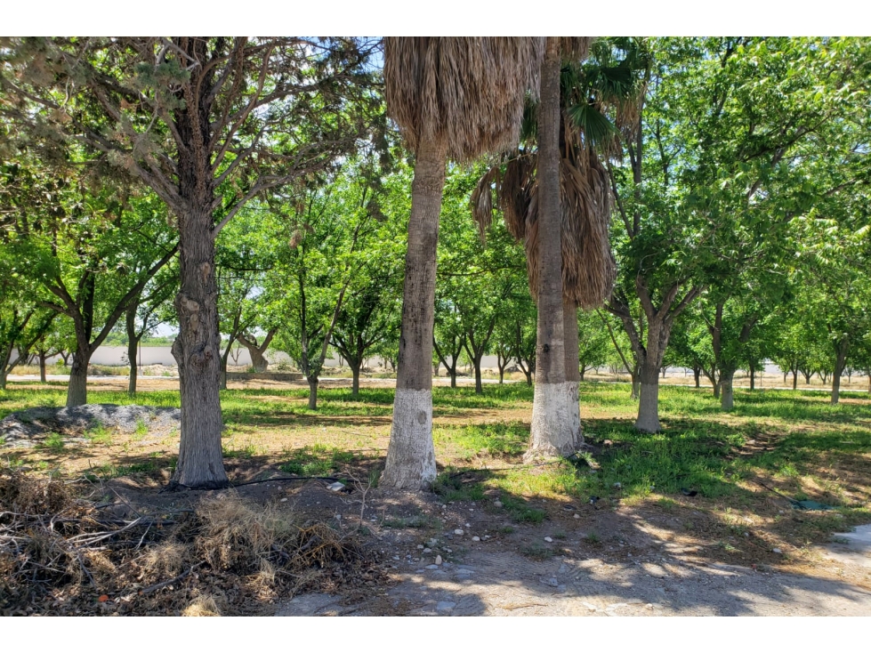Terreno en VENTA en Residencial La Joya II RTV656640 — foto 3