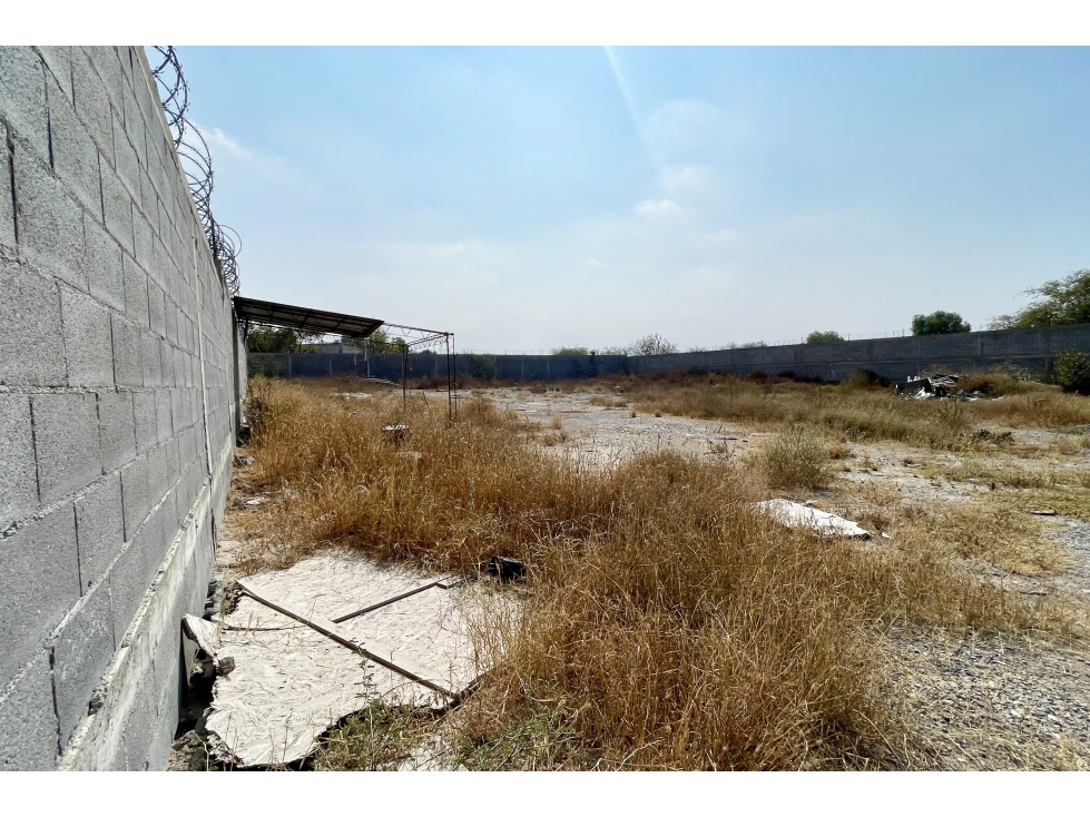 Terreno en RENTA en La Palmilla CTR662133 — foto 3
