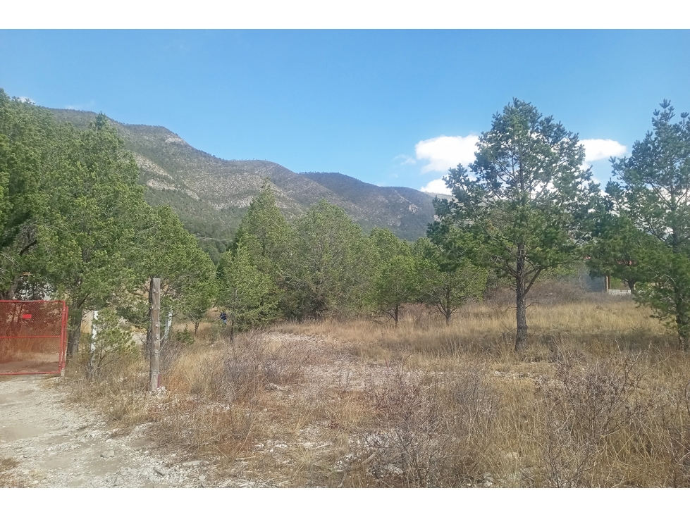 Terreno Campestre en VENTA en Ejido San Juanito RTV663162 — foto 3