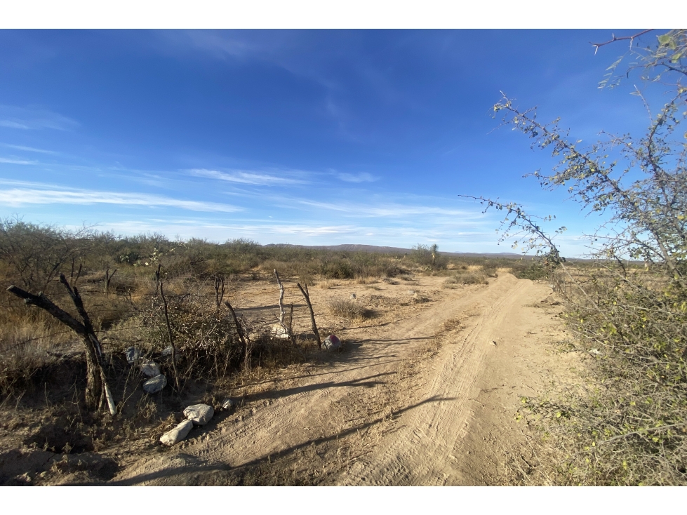 Terreno en VENTA en General Cepeda RTV666736 - 3
