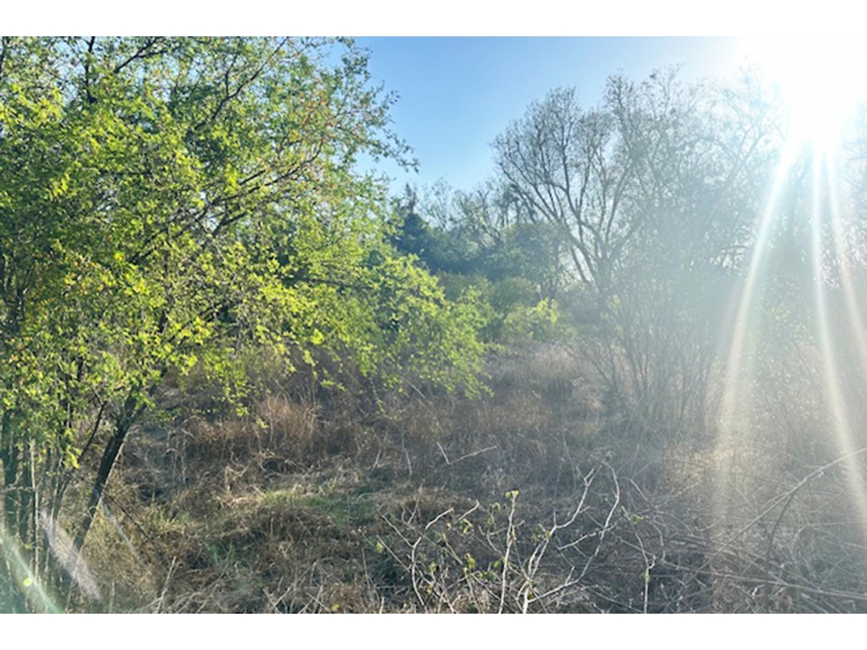 Terreno en VENTA en Carretera Antigua los Zertuche RTV673927 — foto 3