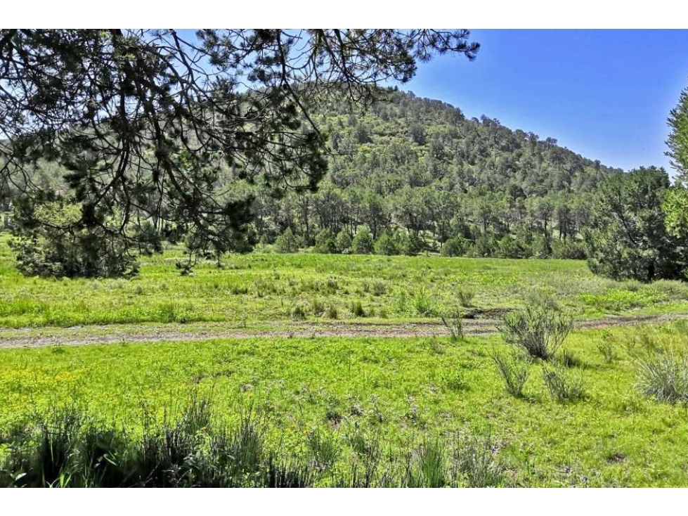 Terreno en VENTA en Sierra de Arteaga RTV677788 — foto 3