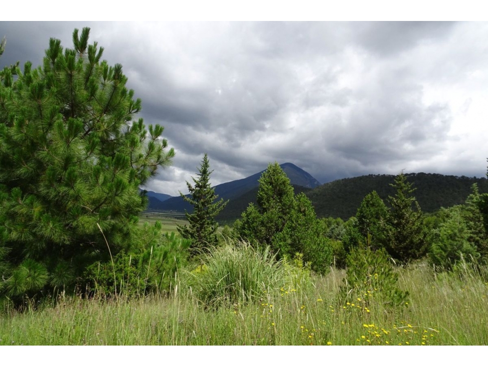 Terreno campestre en VENTA en Fracc. Los Andes-RTV535845 - 4