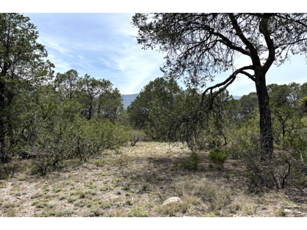 Terreno campestre en VENTA en Pino Real RTV605487 - 4