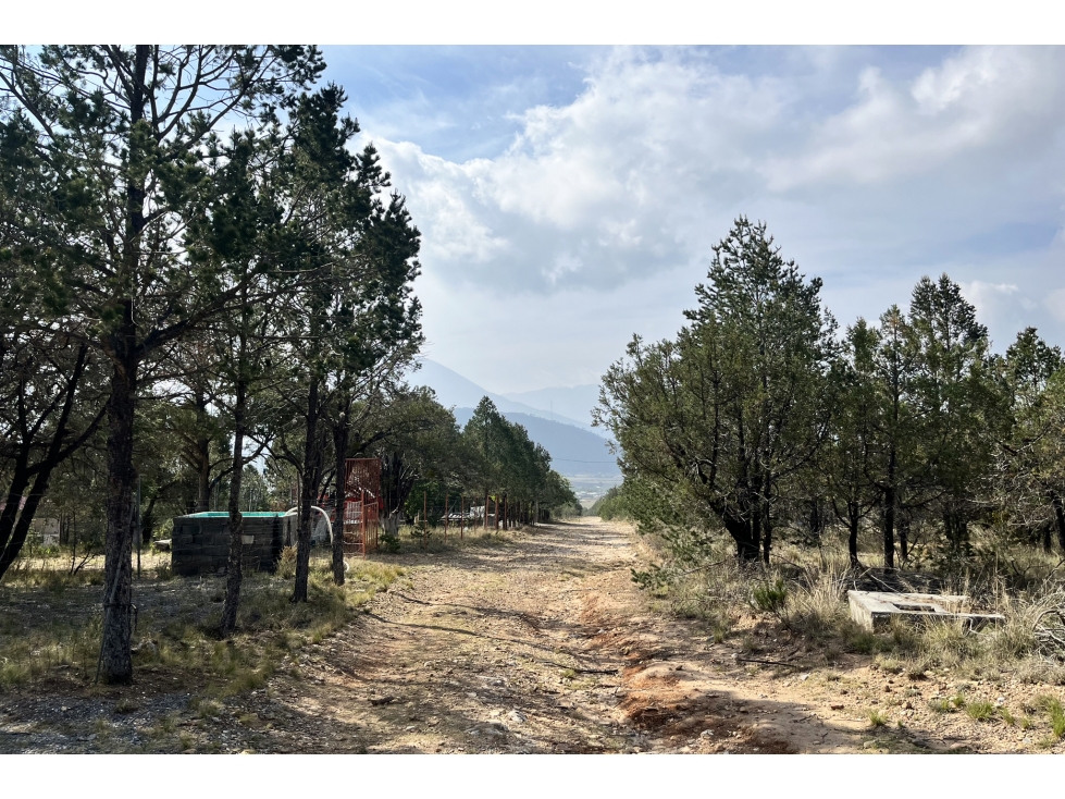 Terreno VENTA en Fracc. Cumbres del Tunal RTV607701 — foto 4