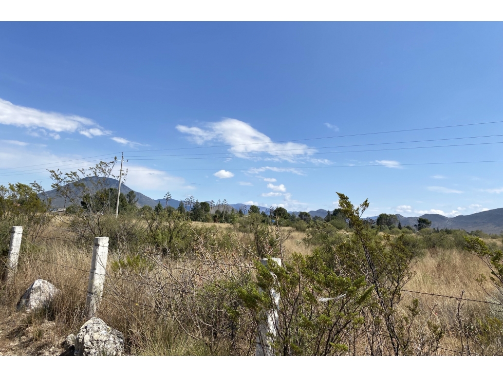 Terreno RENTA en Derramadero ITR622742 - 4