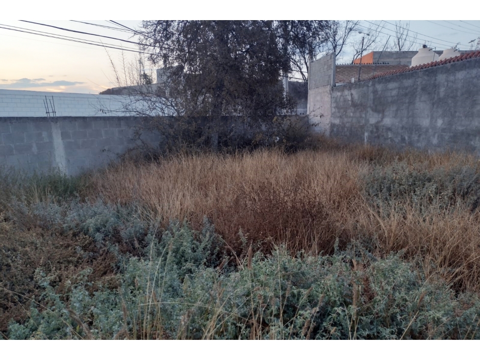 Terreno en RENTA en esquina en Blvd. Plan de Guadalupe CTR629569 - 4