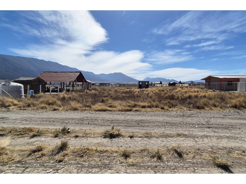 Terreno en VENTA en San Antonio de las Alazanas RTV639149 - 4