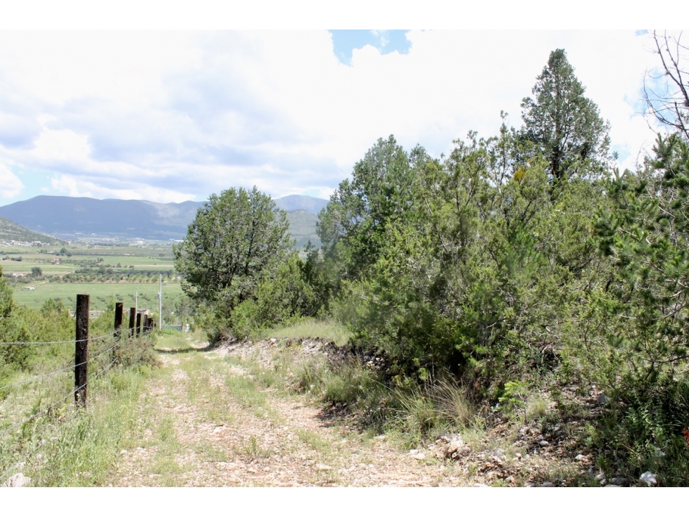 Terreno VENTA en Campestre Los Andes RTV653179 — foto 4