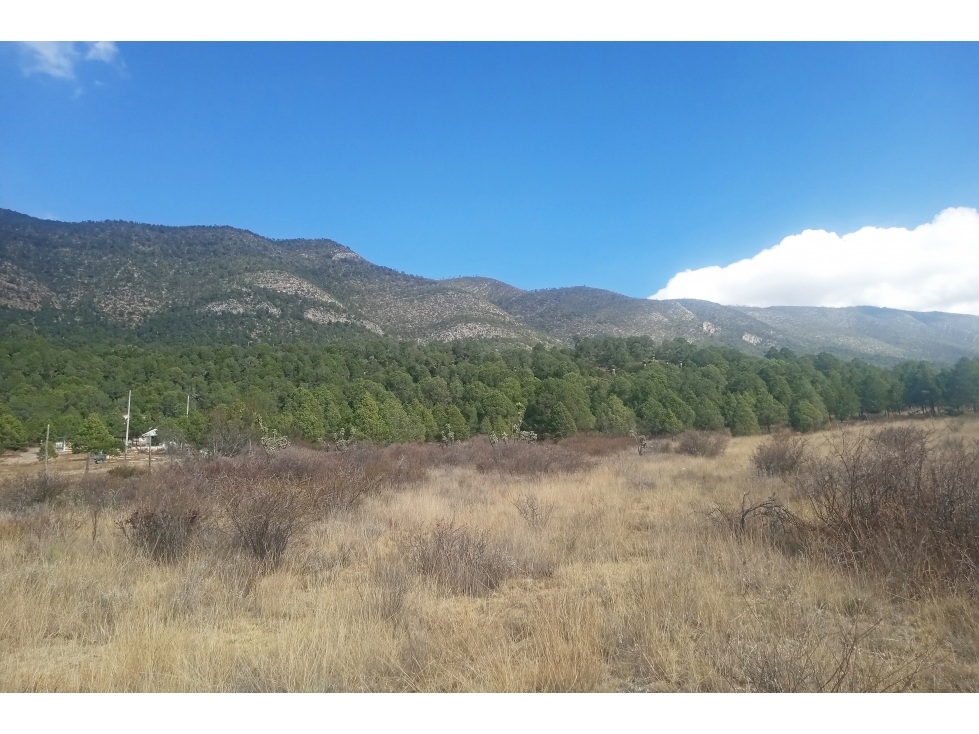 Terreno Campestre en VENTA en Ejido San Juanito RTV663162 — foto 4