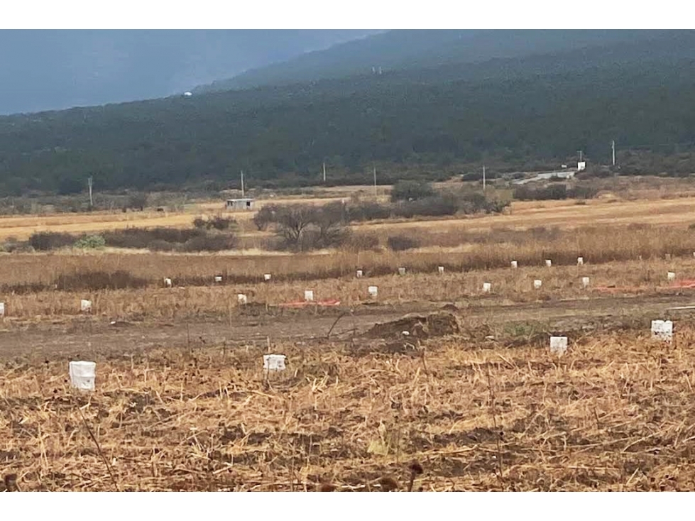 Lotes Campestres en VENTA en Valle del Diamante? RTV666706 — foto 4