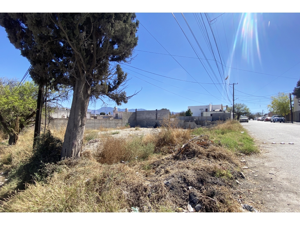VENTA de Terreno en col. Virreyes RTV672103 — foto 4