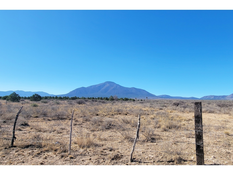Terreno VENTA Industrial-Campestre, San Juan de la Vaquería EB-VR3422 — foto 4