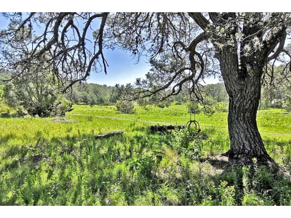 Terreno en VENTA en Sierra de Arteaga RTV677788 — foto 4
