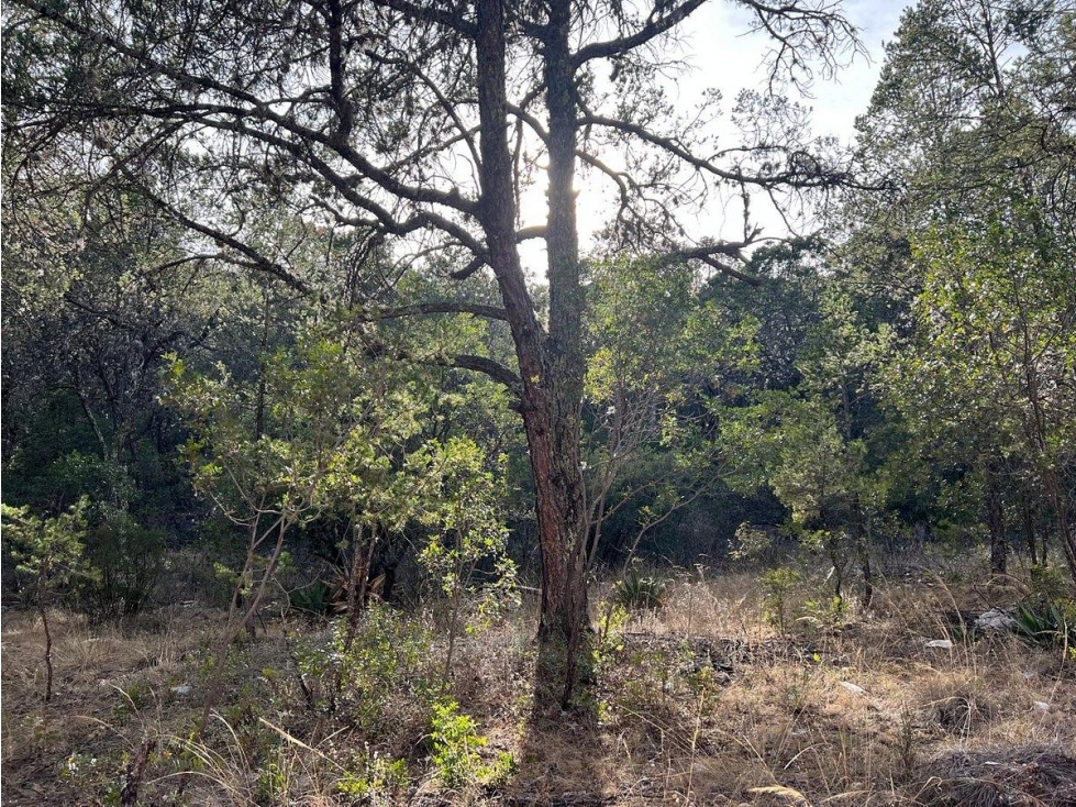 Terreno campestre en venta en Bosques del Huachichil RTV678150 — foto 4