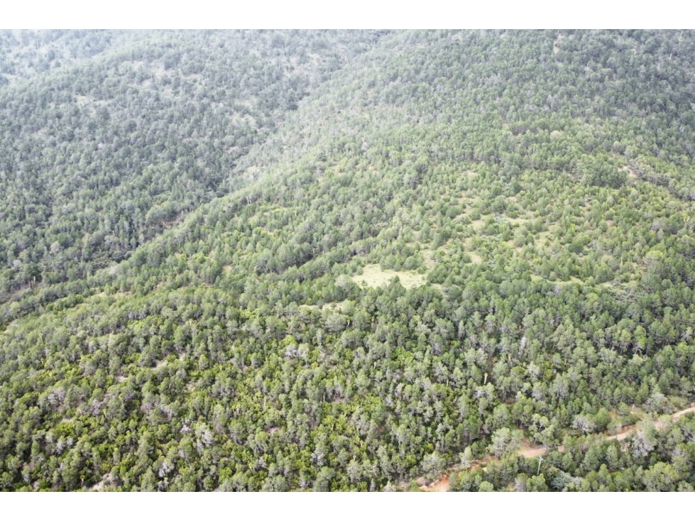 Terreno de 64.67 hectáreas en San Antonio de las Alazanas RTV692241 - 4