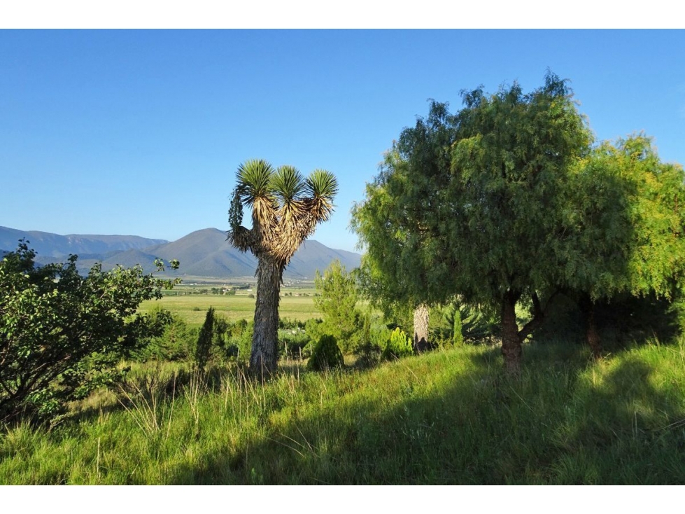 Terreno campestre en VENTA en Fracc. Los Andes-RTV535845 - 5