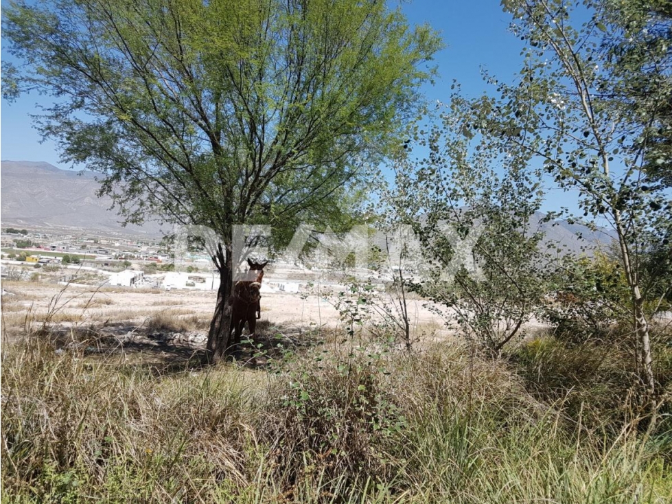 Terreno en VENTA Arteaga.-RTV587449 — foto 5