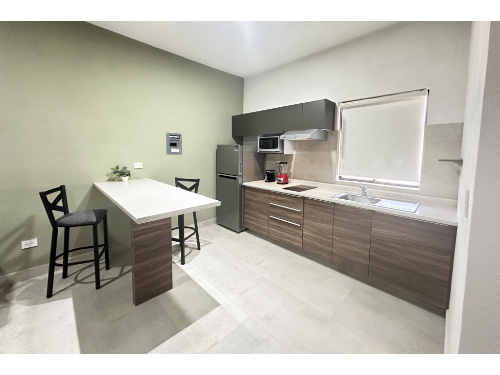 Loft nuevo en RENTA en Hacienda de Peña RDR602930 — foto 4