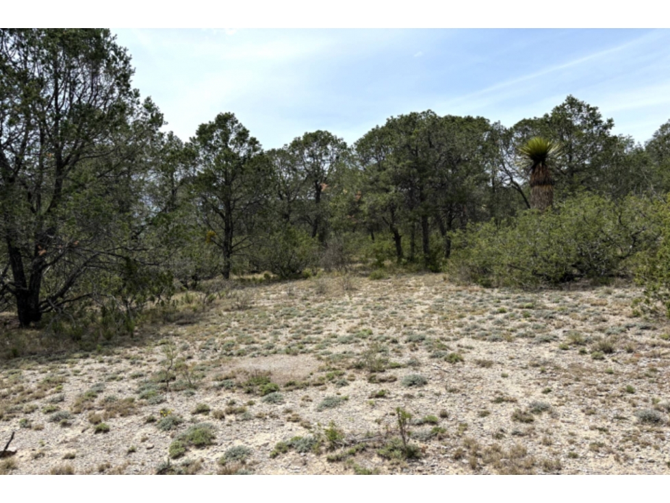 Terreno campestre en VENTA en Pino Real RTV605487 - 5