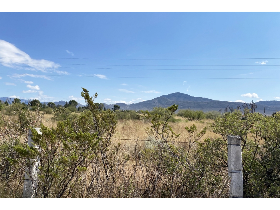 Terreno RENTA en Derramadero ITR622742 - 5