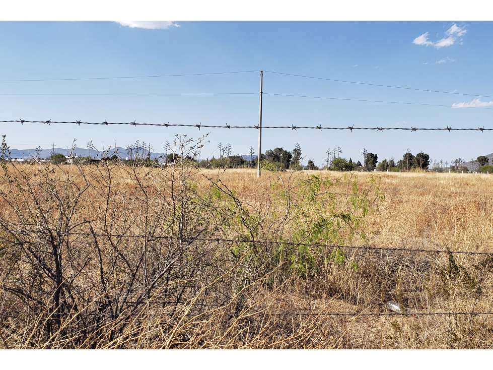 Terreno en RENTA sobre Carretera Zacatecas ITR638441 — foto 5